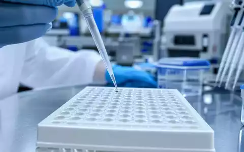 Qiagen N.V. (NL0012169213) Pipette tropft klare FlĂŒssigkeit in sterile 96-Well-Platte im klinischen Labor - Foto: THN