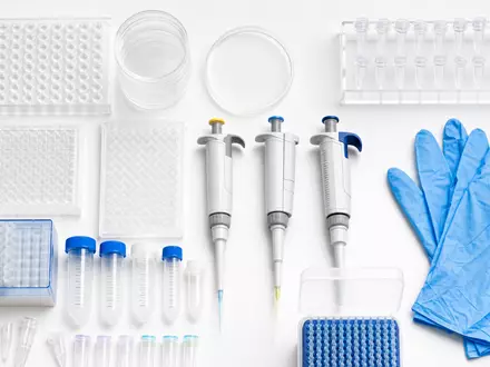 Lonza CH0013841017 Flatlay Labor Pipetten Petrischalen blaue Schutzhandschuhe auf weissem Tisch anonym - Foto: THN
