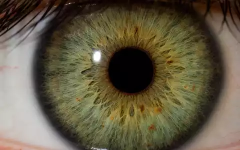 Alcon CH0432492467: Extreme Makro Nahaufnahme einer grünen Iris mit fasriger Textur und langen Wimpern. - Foto: THN