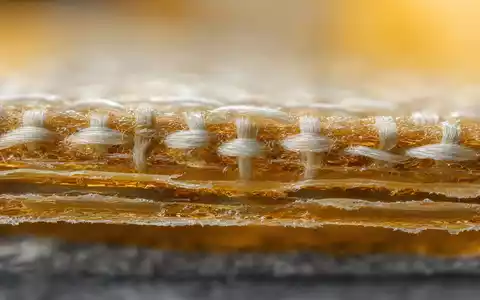 3M Klebeband Querschnitt Makroaufnahme zeigt Fasergewebe goldene Klebstoffschicht und Textur nah US88579Y1010 - Foto: THN