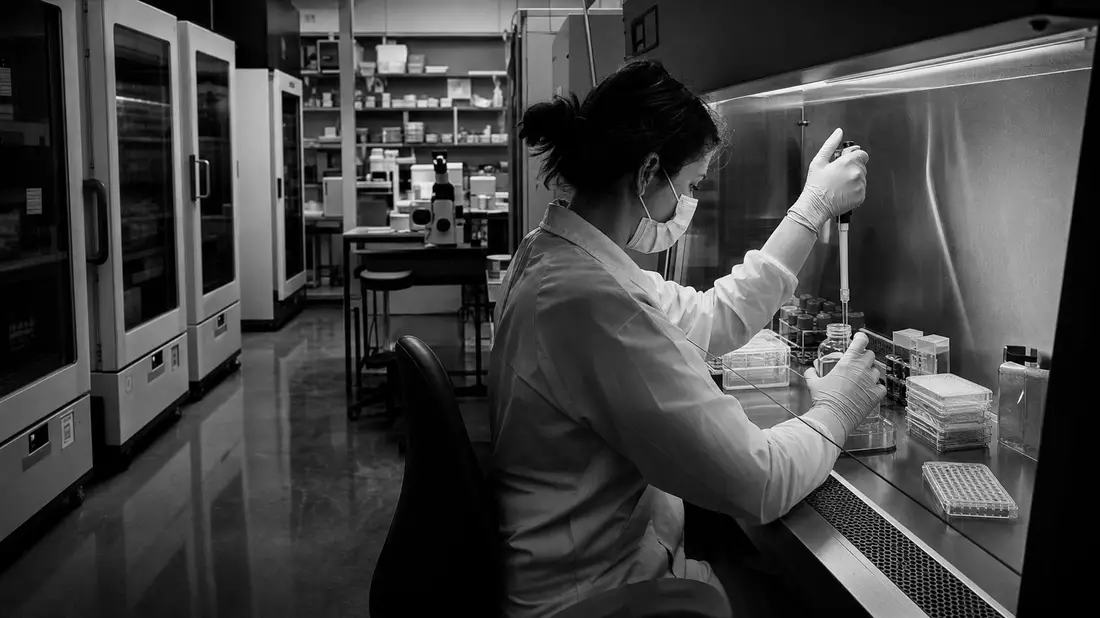 Black and white documentary photograph of a scientist in protective gloves and mask working inside a laminar flow biosafety cabinet. Precise hands pipette cell culture medium into multi-well plates. CO2 incubators line the background in dramatic side-lit 