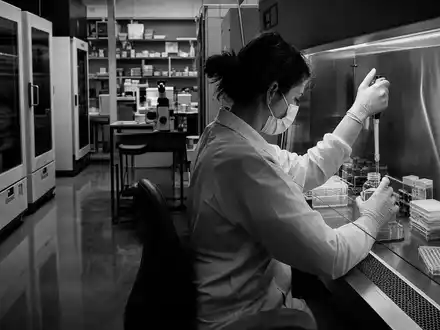 Merck US58933Y1055 Zellkultur schwarzweiß: Forscherin pipettiert konzentriert in steriler Biosicherheitswerkbank, dokumentarische Reportage - Foto: THN