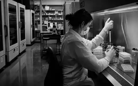 Merck US58933Y1055 Zellkultur schwarzweiß: Forscherin pipettiert konzentriert in steriler Biosicherheitswerkbank, dokumentarische Reportage - Foto: THN