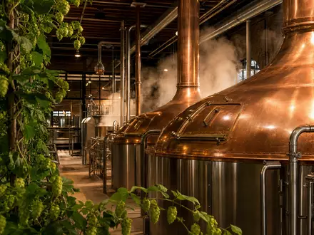Kupferne Sudkessel mit Hopfenpflanzen zeigen die Braukunst von Anheuser-Busch InBev, ISIN BE0974293251, weltgrößter Brauerei-Konzern - Foto: THN