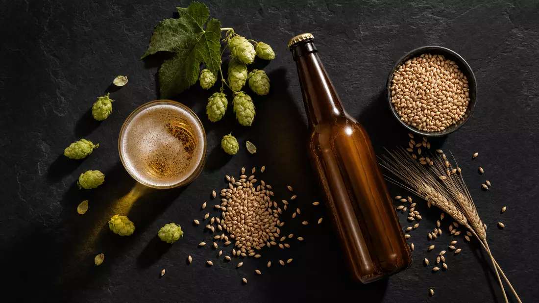 Overhead-Flatlay-Produktfotografie mit einem schlichten Bierglas, losen Hopfenzapfen, Gerstenkörnern