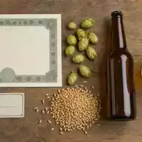 Flatlay mit Aktienzertifikat, ISIN-Karte und Hopfen zeigt die Aktie Anheuser-Busch InBev, ISIN BE0974293251 - Foto: THN