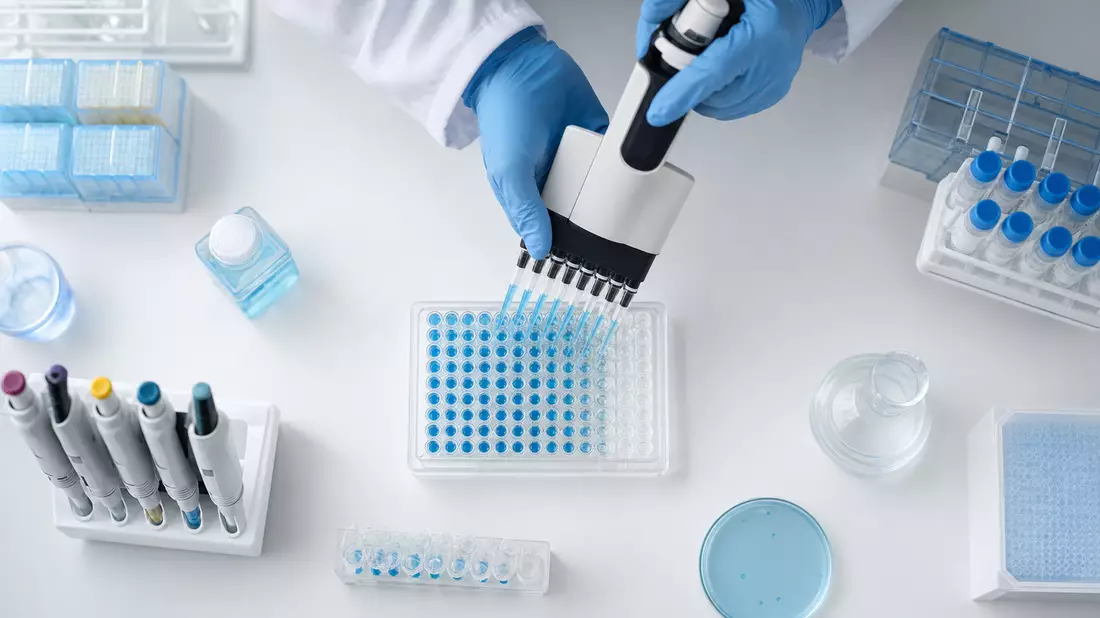 Vogelperspektive-Flatlay: Behandschuhte Hände führen Multikanal-Pipette über 96-Well-Mikrotiterplatte mit blauer Flüssigkeit, weißer Labortisch, symmetrische Komposition