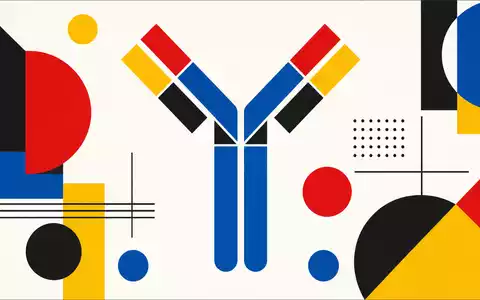 Argenx NL0010832176 IgG-Antikörper als Y-förmiges Bauhaus-Poster in roten blauen und gelben Primärfarben - Foto: THN