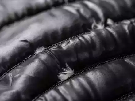 Moncler IT0005252207 macro down jacket quilt stitching polyester thread goose feathers detail - Foto: THN