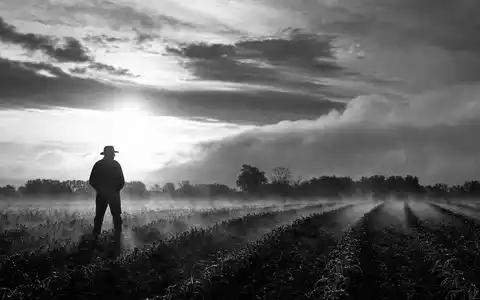 Landwirt als Silhouette auf nebligem Acker bei Morgengrauen – Crop Science / Pflanzenschutz - Foto: THN