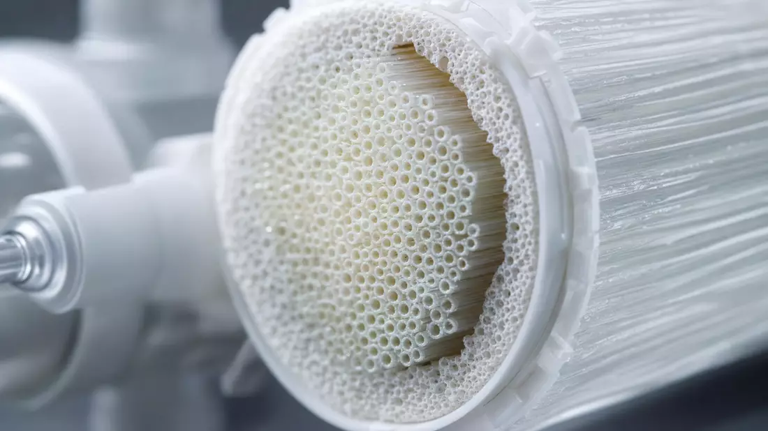 Makroaufnahme einer Hämodialyse-Filterkartusche mit Hohlfasermembranen im Querschnitt