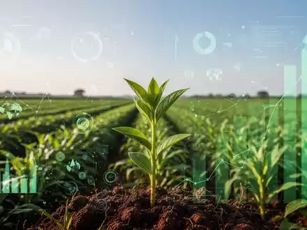 Gesunde Pflanze sprießt aus fruchtbarer Erde in einem grünen Feld, das digitale Datenvisualisierungen überlagert. - Foto: über boerse-global.de