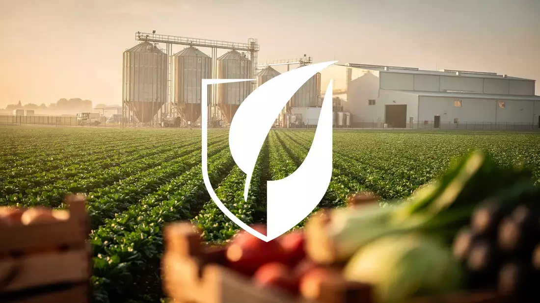 General Mills Aktie: Sparprogramm treibt Kurs um 7 Prozent