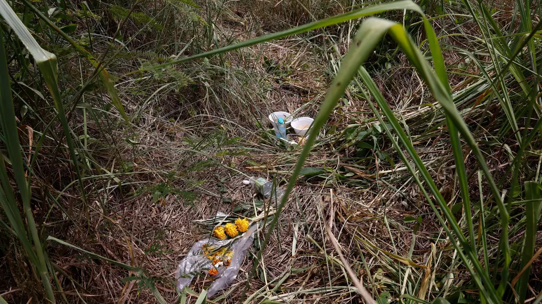 Blumen liegen am Fundort des Koffers. - Bild: Dario Pignatelli/AAP/dpa