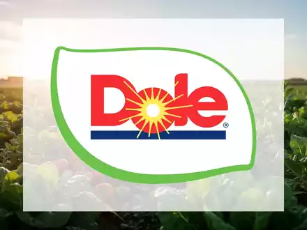 Abstrakte Szene, die den Agrarsektor darstellt, mit Fokus auf frische Produkte und strategisches Wachstum unter einem klaren Himmel. - Foto: über boerse-global.de