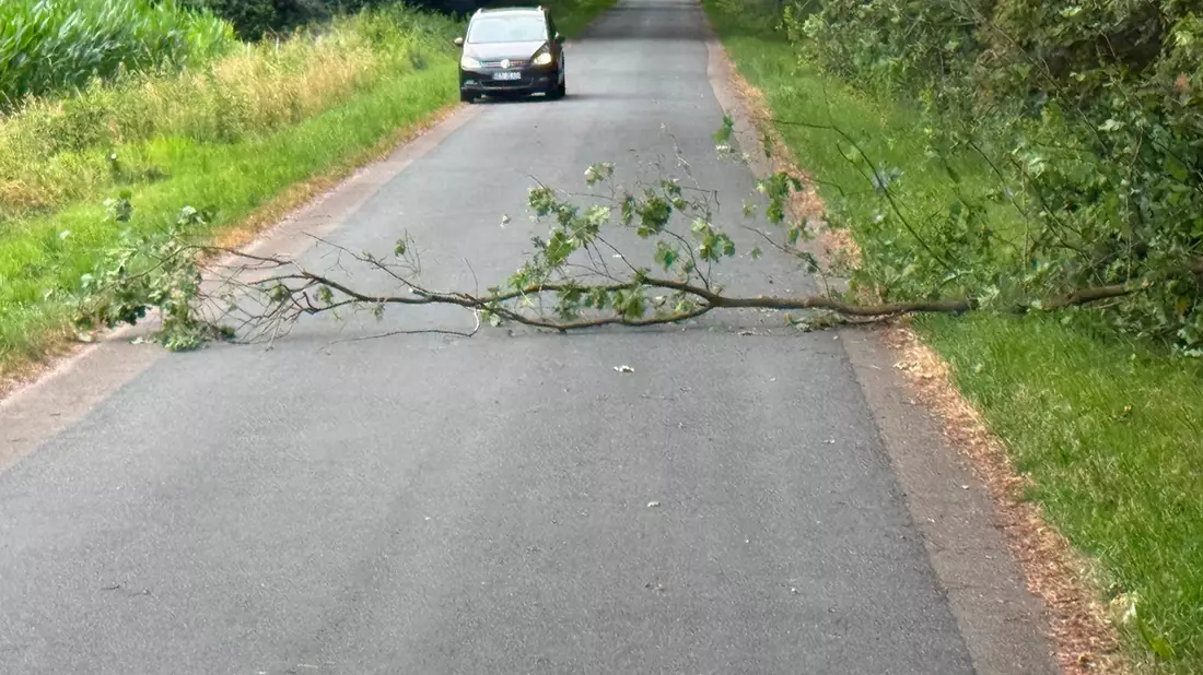 FW Hünxe: Baum auf Fahrbahn - Bild: presseportal.de