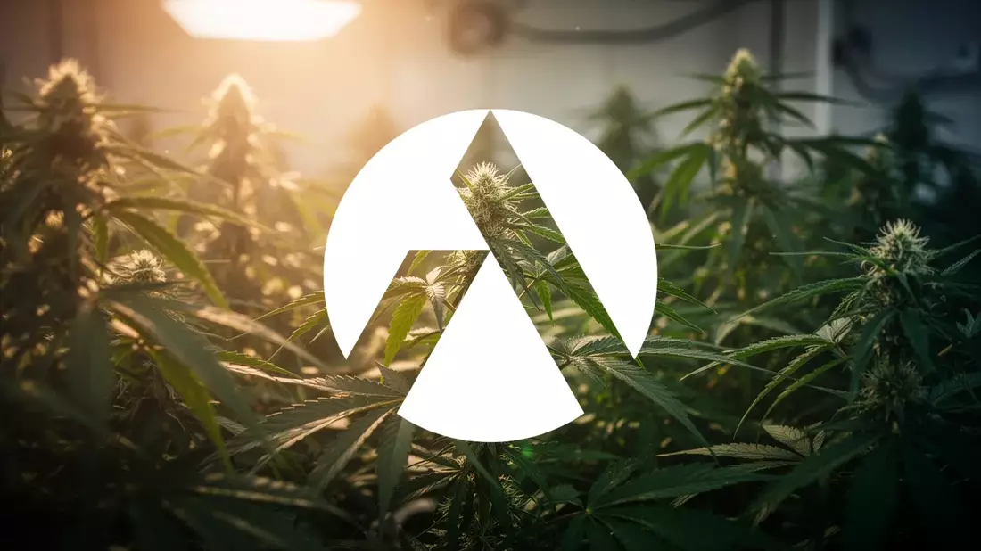 Tilray Aktie: Unabhängigkeitstag und Auszeichnungen beflügeln Kurs