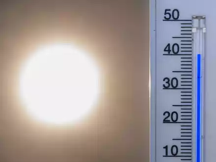Zwei von drei Deutschen machen sich Sorgen, dass der Klimawandel unsere Lebensgrundlagen zerstört. (Symbolbild) - Foto: Patrick Pleul/dpa