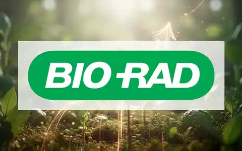 Abstrakte, atmosphärische Szene, die Wachstum und Potenzial in der Gesundheits- und Wellnessbranche darstellt, mit weichem Licht und organischen Formen. - Foto: über boerse-global.de
