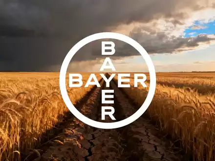 Weites, goldenes Feld unter einem dramatischen, sich aufhellenden Himmel, das Erleichterung und neue Möglichkeiten andeutet. - Foto: über boerse-global.de