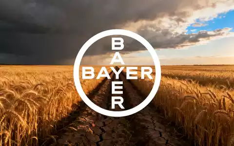 Weites, goldenes Feld unter einem dramatischen, sich aufhellenden Himmel, das Erleichterung und neue Möglichkeiten andeutet. - Foto: über boerse-global.de