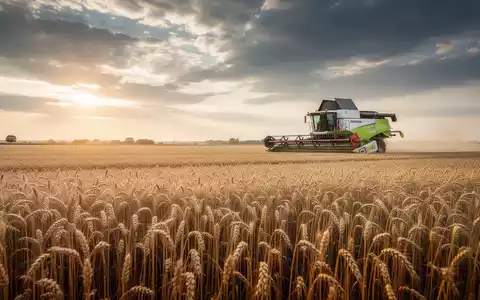 Ein weites, goldenes Weizenfeld unter einem dramatischen Himmel, mit einem Mähdrescher in der Ferne bei Sonnenuntergang. - Foto: über boerse-global.de