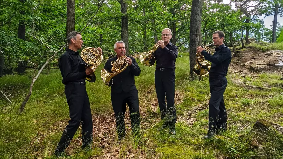 Vorfreude auf großes Ferienfinale: 35. MDR-Musiksommer lädt sein Publikum zum „Musik-Waldbaden“ ein - Bild: presseportal.de
