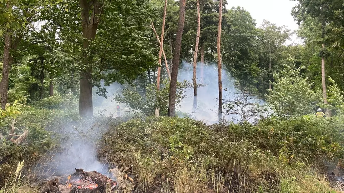 POL-NE: Waldbrand im Knechtstedener Busch - Bild: presseportal.de