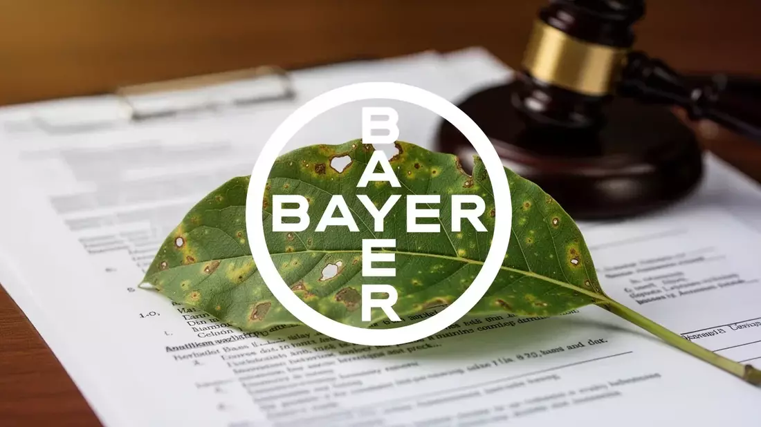 Bayer Stock Surges 53% After Supreme Court Glyphosate Win, Restructuring Underway