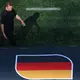 Ende als Bundestrainer nach etwas mehr als 1.000 Tagen: Julian Nagelsmann. - Bild: Jan Woitas/dpa