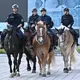 Polizei ist mit Pferden, Wasserwerfern und einer Reihe von Spezialteams im Einsatz. - Bild: Martin Schutt/dpa
