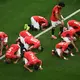 Die ägyptischen Spieler verneigen sich nach dem Führungstor.  - Bild: Jessica Tobias/AP/dpa