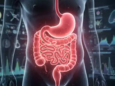 Nahaufnahme eines Magenmodells oder einer stilisierten Illustration der Magenschleimhaut, die Autoimmun-Gastritis darstellt. - Foto: über boerse-global.de