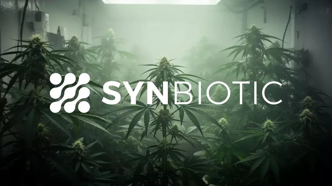 SynBiotic Aktie: Neues Gesetz bedroht Cannabis-Erstattung