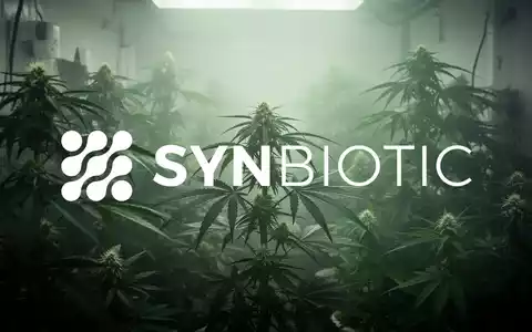 Abstrakte, atmosphärische Darstellung der Cannabisindustrie mit diffuser Beleuchtung, die Wachstum und die Erwartung regulatorischer Änderungen andeutet. - Foto: über boerse-global.de