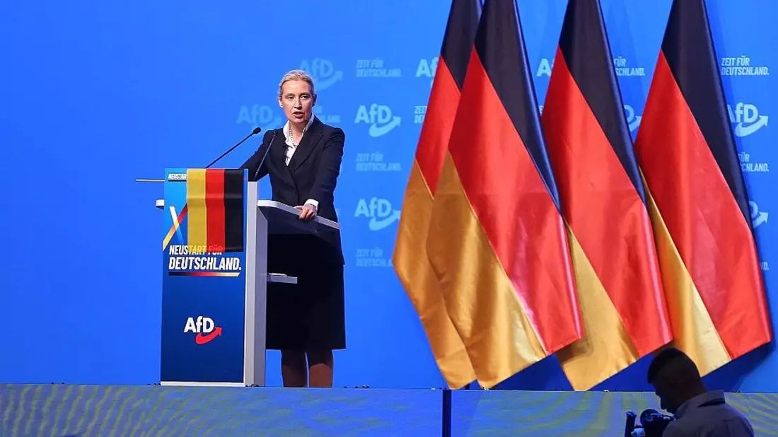 Politologe: Weidels Macht in der AfD ist begrenzt