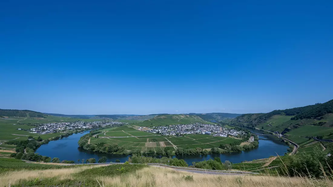 Vorerst ist der Himmel strahlend blau über der Mosel und den angrenzenden Weinbergen bei Trittenheim in Rheinland-Pfalz.  - Bild: Harald Tittel/dpa