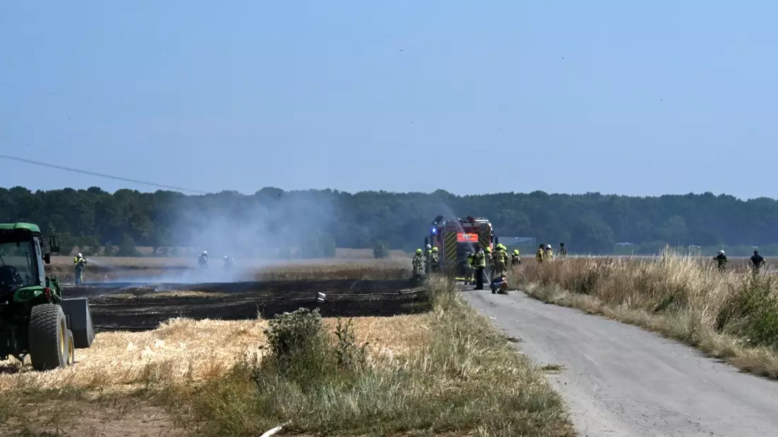 FW Pulheim: Sinnersdorf: Feldbrand konnte mit vereinten Kräften zügig gelöscht werden - Bild: presseportal.de