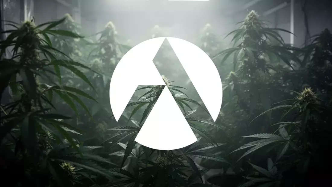 Tilray Aktie: Entscheidungstage in Washington vor Reform