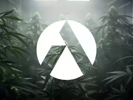 Eine abstrakte, atmosphärische Szene, die die Cannabisindustrie darstellt, mit einer Stimmung vorsichtiger Erwartung. - Foto: über boerse-global.de