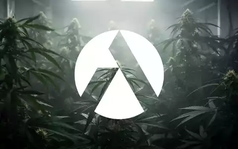 Eine abstrakte, atmosphärische Szene, die die Cannabisindustrie darstellt, mit einer Stimmung vorsichtiger Erwartung. - Foto: über boerse-global.de