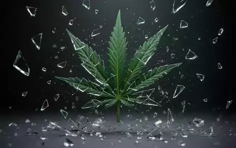 Ein stilisiertes, zerbrochenes grünes Cannabisblatt, das in Fragmente zerfällt, vor einem dunklen Hintergrund. - Foto: über boerse-global.de