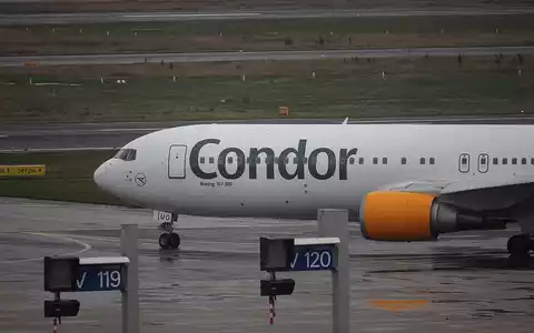 Condor (Archiv) - Foto: via dts Nachrichtenagentur