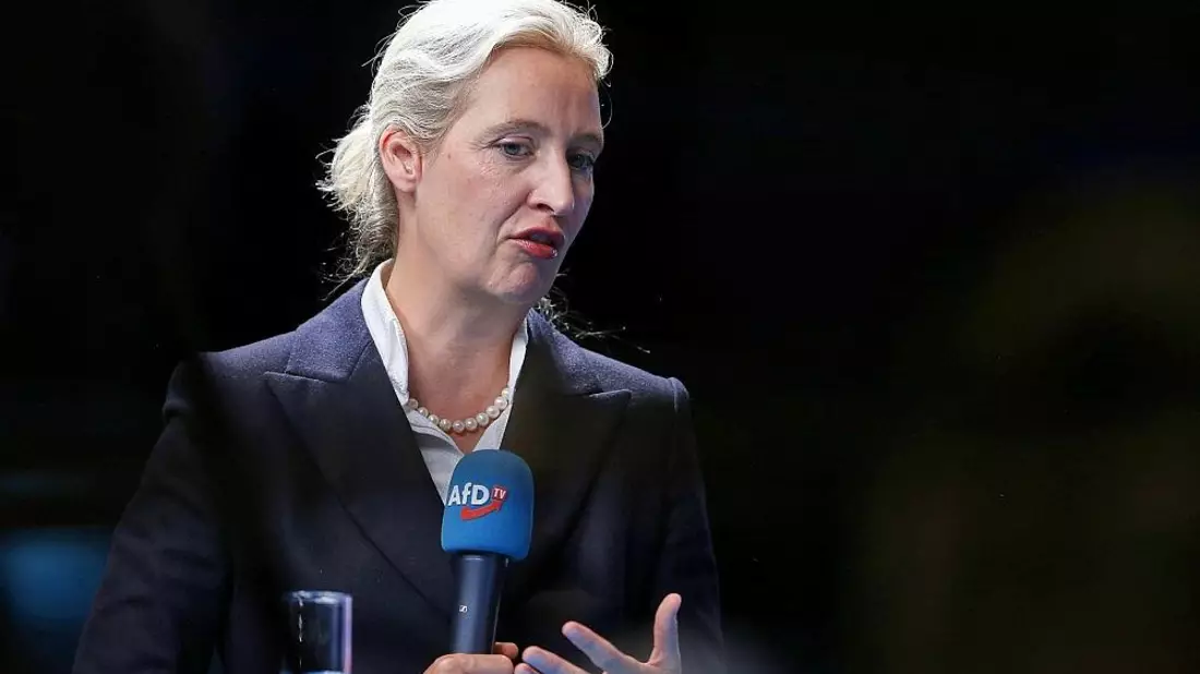 Weidel hält sich bei Reform von Unvereinbarkeitsliste bedeckt