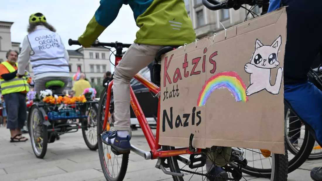 Viele AfD-Gegner kamen mit selbstgebastelten Protestschildern. - Bild: Martin Schutt/dpa