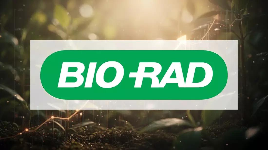 Biogena Group Invest: Konzernumbau treibt Aktie auf 4,40 Euro