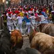 Jedes Jahr werden bei den Mutproben über die 875 Meter lange Strecke Dutzende verletzt. (Archivbild) - Bild: Miguel Oses/AP/dpa