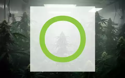 Eine abstrakte, atmosphärische Darstellung der Cannabisindustrie, die Verzögerung und Erwartung symbolisiert. - Foto: über boerse-global.de