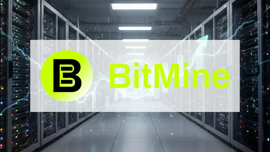 BitMine Aktie: 235 Mio. Dollar Rendite durch Ethereum-Staking