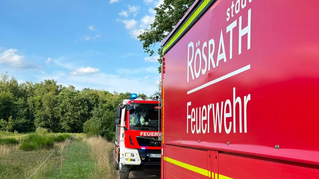 FW Rösrath: Waldbrand in der Wahner Heide - rund 200 Einsatzkräfte vor Ort - Bild: presseportal.de